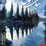 کتاب تناسب مفهومی و قرابت معنایی نشر دریافت