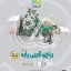 کتاب ریاضی میکرو گاج پایه دهم و یازدهم تجربی