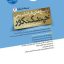 کتاب چند کنکور انسانی جامع جلد پاسخ