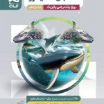 کتاب حسابان یازدهم میکرو گاج