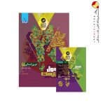 کتاب عربی دوازدهم انسانی سری فرمول بیست گاج