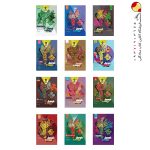 کتاب پک فرمول بیست یازدهم انسانی