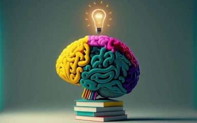 منابع پایه یازدهم