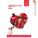 کتاب علوم هفتم بخش زیست و زمین شناسی علامه حلی