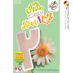 کتاب ماجرای بیست عربی دهم خیلی سبز + ضمیمه رایگان