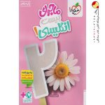 کتاب ماجرای بیست انگلیسی دهم خیلی سبز + ضمیمه رایگان