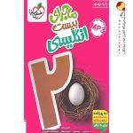 کتاب ماجرای بیست انگلیسی نهم خیلی سبز