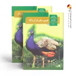 کتاب درسی عربی یازدهم