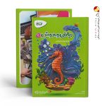 کتاب کارپوچینو ریاضی و هوش پیش دبستانی گاج