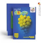 کتاب فارسی نهم تست تیزهوشان خیلی سبز