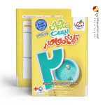 کتاب تاریخ معاصر ماجرای بیست خیلی سبز