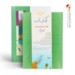 کتاب کیمیای ادب فارسی نهم